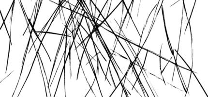 An abstract black and white design featuring intersecting lines and sharp angles, creating a chaotic yet artistic composition. vector