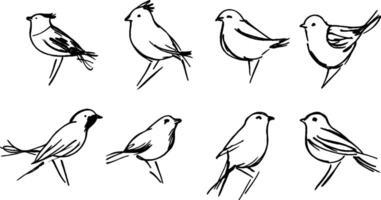 Hand-Drawn Bird Sketches Collection vector