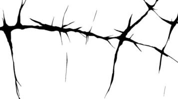 An abstract black and white illustration featuring jagged, thorn-like shapes resembling cracks or branches against a white background. vector