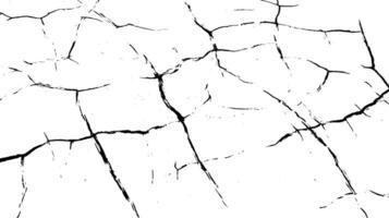 A textured background featuring a pattern of black cracks on a white surface, creating a striking contrast. Ideal for use in design and artistic projects. vector
