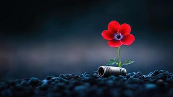 Single red flower near bullet casing in dark soil, with copy space photo