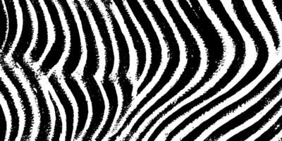 Abstract Black and White Wavy Stripes Pattern vector