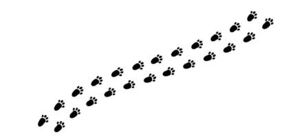 Bunny footprints create a whimsical trail across the soft, untouched snow on a serene winter morning in a quiet forest clearing vector