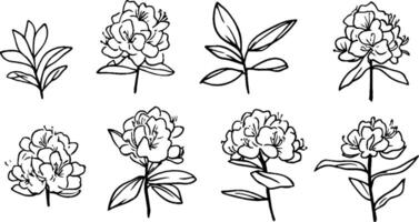 A collection of hand-drawn floral illustrations featuring various stages of blooming flowers and leaves. The designs showcase intricate details and a minimalist style. vector