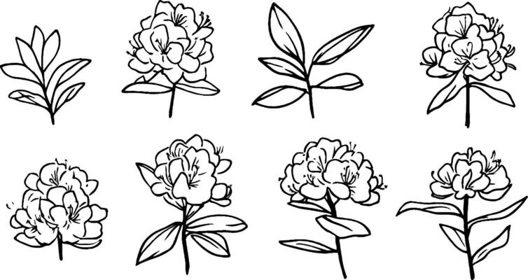 A collection of hand-drawn floral illustrations featuring various stages of blooming flowers and leaves. The designs showcase intricate details and a minimalist style.