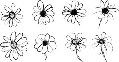 A collection of hand-drawn daisy flowers in various styles and orientations, showcasing their unique shapes and details. vector