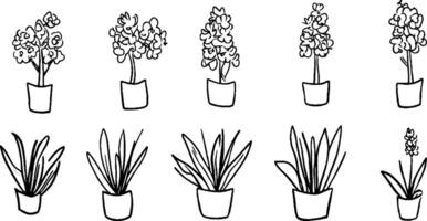 A collection of hand-drawn flower illustrations in pots, featuring various types of flowers and plants. The designs are simple and artistic, showcasing different shapes and sizes of blooms and leaves. vector