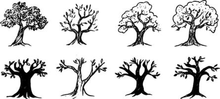 Collection of Hand-Drawn Trees in Various Styles vector