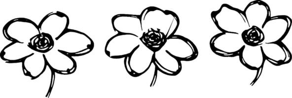 Three hand-drawn flowers with simple petals and circular centers, arranged in a row. vector