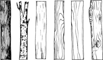 A collection of various types of wood planks and a branch, showcasing different textures and patterns. The illustration highlights the natural characteristics of wood. vector