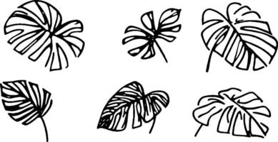 A collection of six hand-drawn monstera leaves in black outline style. Each leaf has unique shapes and patterns, showcasing the tropical plant's distinctive foliage. vector