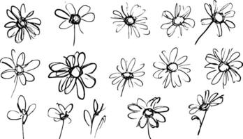 A collection of hand-drawn sketches of flowers, showcasing various styles and perspectives. The flowers are depicted in simple black lines on a white background, emphasizing their delicate shapes. vector