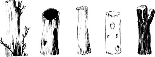 A collection of five different types of tree stumps and logs, showcasing various textures and shapes. Some have branches, while others are hollow or have distinctive markings. vector