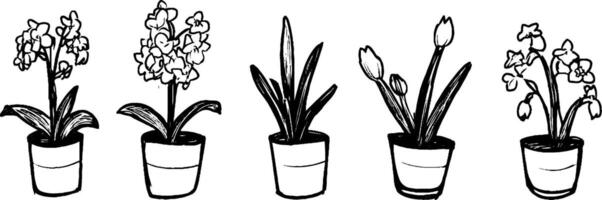 A collection of five hand-drawn flower pots with different types of flowers. Each pot features distinct floral arrangements, showcasing a variety of shapes and sizes. vector