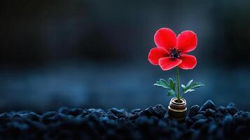 Single red flower emerging from bullet casing in dark soil, with copy space photo