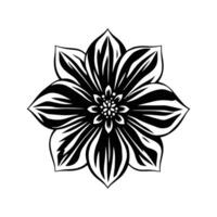 A black and white flower with a white center, graphic of flower vector