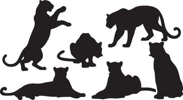 Set of Leopard silhouettes vector