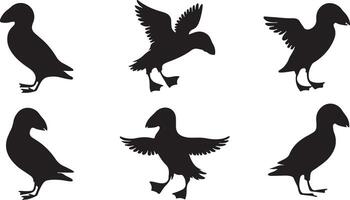 Black Puffin silhouette vector