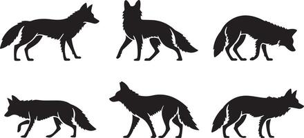 Set of Coyote silhouettes vector