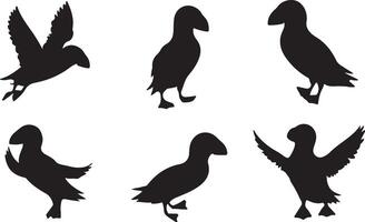 Set of Puffin silhouettes vector