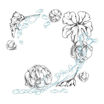 Cloudberry raspberry flying in water splash wave, plant leaves and drops, hand drawn ink, ripe summer forest berry. Isolated illustration, for restaurant, cafe menu, wedding, farmers market