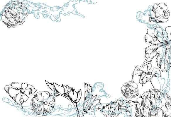 Cloudberry raspberry flying in wave water splashes with drops, hand drawn ink, ripe line forest berry and leaves. Border frame illustration for restaurant, cafe menu, wedding, farmers market