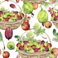 Gooseberry Currant in weaved basket with leaves, hand drawn in watercolor, scattered ripe picked berry harvest. Isolated seamless pattern. Dessert cafe menu, cookbook, craft farmers market, gardening vector