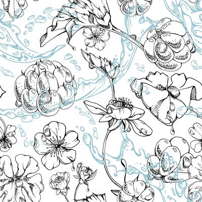 Cloudberry raspberry white flowers flying in water splashes waves drops, hand drawn ink, ripe line forest berry and leaves. Seamless banner illustration for cafe menu, wedding, farmers market