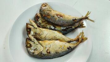 Fried Mackerel Fish. Freshly Cooked Fish on a White Plate Displayed for Presentation photo