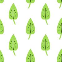 Green Leaf Hand Drawn Seamless Pattern vector