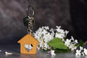 in the form of a house against a background of lilac, a symbol of the family hearth and own home. Purchase of real estate. photo
