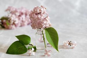 Composition with empty green envelope and beautiful spring lilac flowers on mint background. Mockup card invitation greeting card postcard copy space template. Branches of lilac blooming bouquet. photo