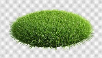 Lush green grass patch transparent background photo