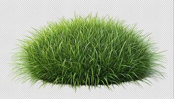 Lush green grass clump transparent photo