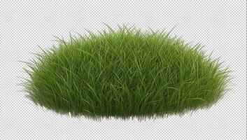 Lush green grass transparent background photo