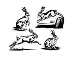 Elegant Hare Silhouette Collection Isolated Template vector