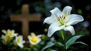 White Lily Blooming with Wooden Cross in Serene Garden Setting photo
