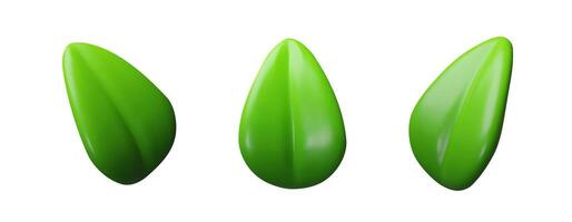 3d set green leaf. Three-dimensional collection of plant illustration. Realistic eco element. Environment spring symbol. botanical emblem, ecology energy. Tree design herb vector
