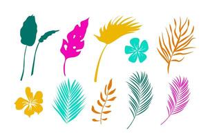 Set of tropical leaves in flat style isolated on white background. illustration vector
