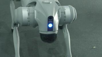Bangkok Thailand. October 31 2024. Robotic dog Go2 from Unitree. A futuristic four legged robotic dog equipped sensors and a front camera. Advanced technology for surveillance and exploration tasks video