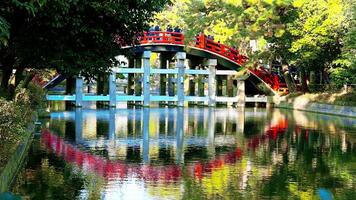vermelho ponte Sorihashi-souza refletido belas em calma águas às sumiyoshi taisha santuário dentro Osaka Japão. vermelho ponte Sorihashi-souza ou sumiyoshi taisha vermelho ponte dentro Novo ano que multidão pessoas para faço uma desejo video