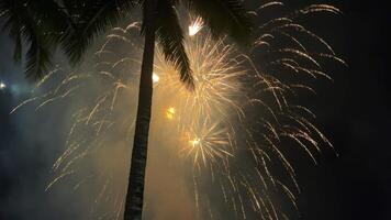 Golden fireworks explode in the night sky behind the silhouette of a tall palm tree, lighting up the tropical darkness with bursts of celebration and color video