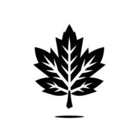 A minimalist, highcontrast black and white illustration of a stylized maple leaf, casting a subtle shadow on a plain white background, symbol of nature. vector