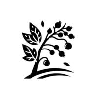 Stylized black and white tree with berries and leaves on a white background, minimalist design. vector