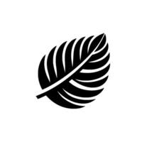 A simplified botanical illustration of a stylized, black leaf with prominent veins and a textured finish, set against a clean white background. vector