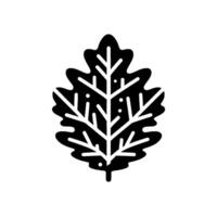 Detailed black and white illustration of a single oak leaf with intricate veins and a serrated edge, against a clean, white background. vector