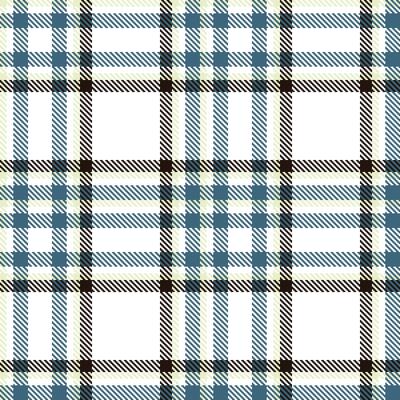 Fire White Tartan patterns fabric texture. Modern Rustic Green Eggs Seamless Tartan