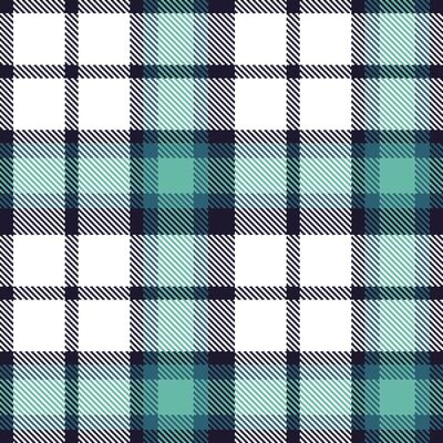 Plaid pattern seamless. Fire Dark Knight and Metallic White Tartan Textile Design.