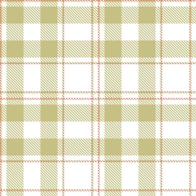 Plaid pattern seamless. Vintage Fiddlehead Fern and Deep White Tartan Textile Design.
