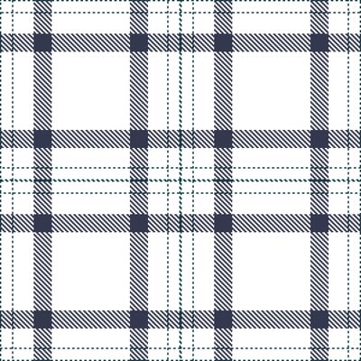Plaid pattern seamless. Bright White and Rustic Crab Nebula Tartan Textile Design.